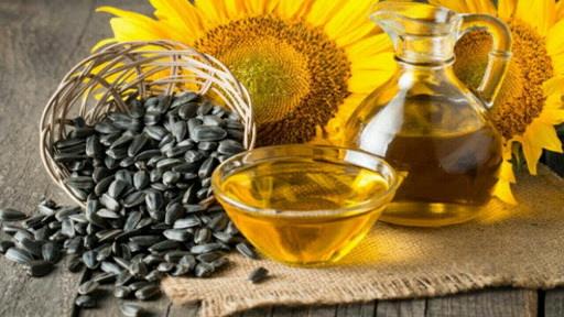 جهش 59 درصدی صادرات روغن آفتابگردان اوکراین رویترز: